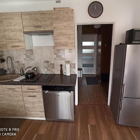 Apartament Pod Sanockim Zamkiem Sanok Exterior photo