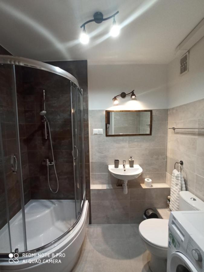 Apartament Pod Sanockim Zamkiem Sanok Exterior photo